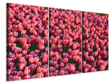Laden Sie das Bild in den Galerie-Viewer, Leinwandbild 3-teilig Üppiges Tulpenfeld