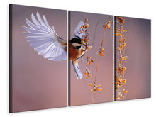 Laden Sie das Bild in den Galerie-Viewer, Leinwandbild 3-teilig Vogel in Aktion