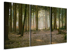 Laden Sie das Bild in den Galerie-Viewer, Leinwandbild 3-teilig Wald Lauf