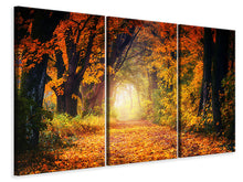 Laden Sie das Bild in den Galerie-Viewer, Leinwandbild 3-teilig Wald Spaziergang