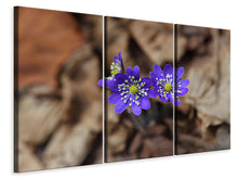 Laden Sie das Bild in den Galerie-Viewer, Leinwandbild 3-teilig Wildblumen
