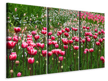 Laden Sie das Bild in den Galerie-Viewer, Leinwandbild 3-teilig Wildes Tulpenfeld