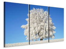 Laden Sie das Bild in den Galerie-Viewer, Leinwandbild 3-teilig Winter Baum