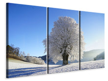 Laden Sie das Bild in den Galerie-Viewer, Leinwandbild 3-teilig Winter Märchen