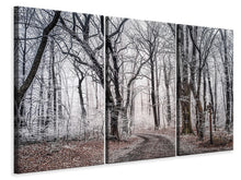 Laden Sie das Bild in den Galerie-Viewer, Leinwandbild 3-teilig Winterlicher Wald