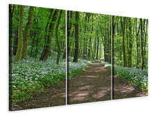 Laden Sie das Bild in den Galerie-Viewer, Leinwandbild 3-teilig Wir lieben den Sommer im Wald