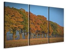 Laden Sie das Bild in den Galerie-Viewer, Leinwandbild 3-teilig Wunderschöner Herbst