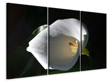 Laden Sie das Bild in den Galerie-Viewer, Leinwandbild 3-teilig Wundervolle Calla 