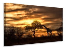 Laden Sie das Bild in den Galerie-Viewer, Leinwandbild African Dreams