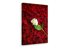 Laden Sie das Bild in den Galerie-Viewer, Leinwandbild Auf Rosen gebettet