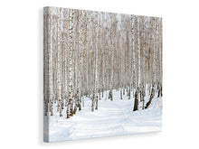 Laden Sie das Bild in den Galerie-Viewer, Leinwandbild Birkenwald-Spuren im Schnee