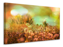 Laden Sie das Bild in den Galerie-Viewer, Leinwandbild Blumenwiese in der Abenddämmerung