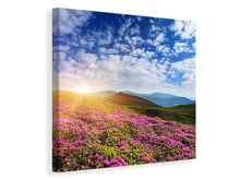 Laden Sie das Bild in den Galerie-Viewer, Leinwandbild Blumige Berglandschaft