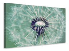 Laden Sie das Bild in den Galerie-Viewer, Leinwandbild Close Up Pusteblume