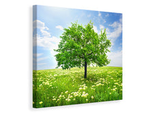 Laden Sie das Bild in den Galerie-Viewer, Leinwandbild Der Baum