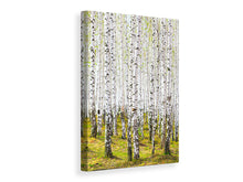 Laden Sie das Bild in den Galerie-Viewer, Leinwandbild Der Birkenwald im Frühling