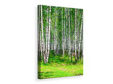 Laden Sie das Bild in den Galerie-Viewer, Leinwandbild Der Birkenwald im Sommer