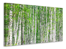 Laden Sie das Bild in den Galerie-Viewer, Leinwandbild Der Birkenwald
