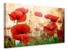 Laden Sie das Bild in den Galerie-Viewer, Leinwandbild Der Klatschmohn