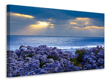 Laden Sie das Bild in den Galerie-Viewer, Leinwandbild Der Lavendel und das Meer