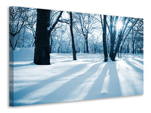Laden Sie das Bild in den Galerie-Viewer, Leinwandbild Der Wald ohne Spuren im Schnee