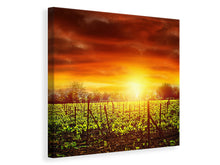 Laden Sie das Bild in den Galerie-Viewer, Leinwandbild Der Weinberg bei Sonnenuntergang
