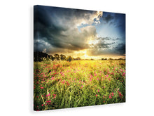 Laden Sie das Bild in den Galerie-Viewer, Leinwandbild Die Blumenlandschaft