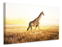 Laden Sie das Bild in den Galerie-Viewer, Leinwandbild Die Giraffe