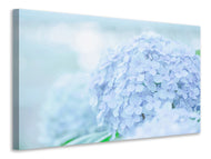 Leinwandbild Die Hortensie