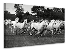 Laden Sie das Bild in den Galerie-Viewer, Leinwandbild Die Mustang Herde