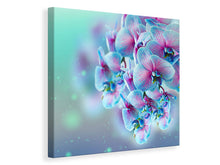 Laden Sie das Bild in den Galerie-Viewer, Leinwandbild Farbige Orchideen