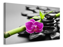 Laden Sie das Bild in den Galerie-Viewer, Leinwandbild Feng-Shui-Orchidee