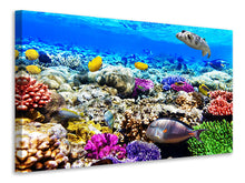 Laden Sie das Bild in den Galerie-Viewer, Leinwandbild Fischaquarium