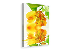 Laden Sie das Bild in den Galerie-Viewer, Leinwandbild Fliessende Orchideenblüte