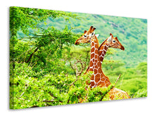 Laden Sie das Bild in den Galerie-Viewer, Leinwandbild Giraffenliebe