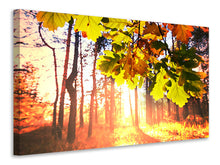 Laden Sie das Bild in den Galerie-Viewer, Leinwandbild Herbst