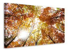 Laden Sie das Bild in den Galerie-Viewer, Leinwandbild Herbstbäume