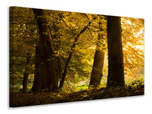 Laden Sie das Bild in den Galerie-Viewer, Leinwandbild Herbstlaub