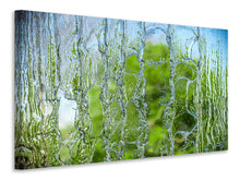 Laden Sie das Bild in den Galerie-Viewer, Leinwandbild Hinter dem Wasserfall