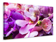 Laden Sie das Bild in den Galerie-Viewer, Leinwandbild Im Orchideenparadies