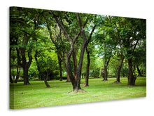Laden Sie das Bild in den Galerie-Viewer, Leinwandbild Kirschbaum-Garten