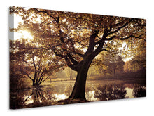 Laden Sie das Bild in den Galerie-Viewer, Leinwandbild Landschaftspark