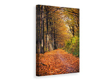 Laden Sie das Bild in den Galerie-Viewer, Leinwandbild Laubwald im Herbstlicht