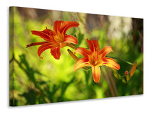 Laden Sie das Bild in den Galerie-Viewer, Leinwandbild Lilien in der Natur