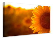 Laden Sie das Bild in den Galerie-Viewer, Leinwandbild Macro-Sonnenblume