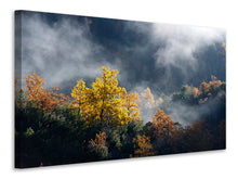 Laden Sie das Bild in den Galerie-Viewer, Leinwandbild Mondscheinwald