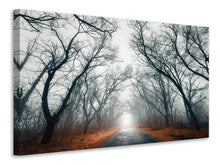 Laden Sie das Bild in den Galerie-Viewer, Leinwandbild Mysteriöse Stimmung im Wald