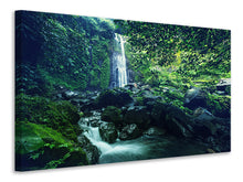 Laden Sie das Bild in den Galerie-Viewer, Leinwandbild Natur