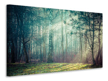 Laden Sie das Bild in den Galerie-Viewer, Leinwandbild Pinienwald