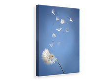 Laden Sie das Bild in den Galerie-Viewer, Leinwandbild Pusteblume XL